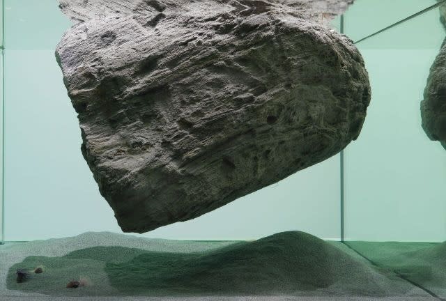 Pierre Huyghe's 'Cambrian Explosion,' 2014, Live marine ecosystem