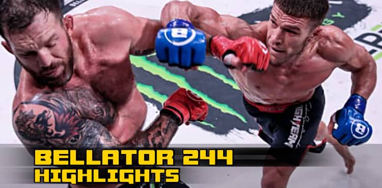 Bellator 244 Fight Highlights