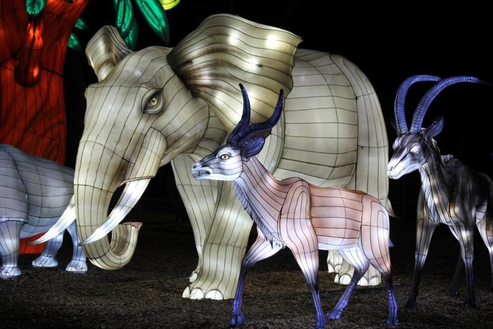 The GloWild festival featuring animal lanterns will run Sept. 29-Dec. 30 at the Kansas City Zoo & Aquarium.