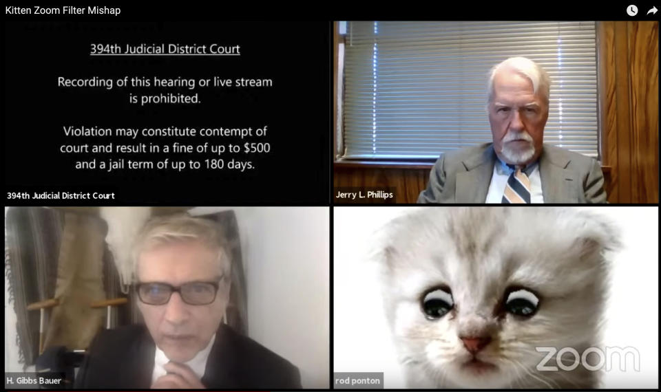 FILE - This file image from video shows a hearing from the 394th Judicial District Court of Texas. The hearing took a detour when an attorney showed up looking like a kitten. A filter that had been activated on the attorney's device obscured his appearance and made him look like a cat. Judge Roy Ferguson shared the short video clip of the mishap on YouTube. The judge says everyone involved handled the situation with professionalism and grace. (Texas Department of Criminal Justice via AP, File)