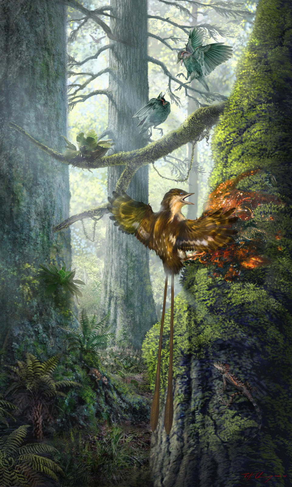 An ancient, hummingbird-size bird got its wing stuck in sticky tree resin and likely struggled for its life about 99 million years ago. Researchers nicknamed this specimen "Angel Wing."