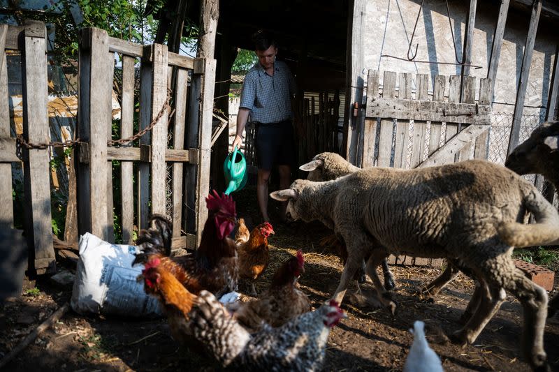 The Wider Image: Sustainable living offers hope for future for Hungarian families