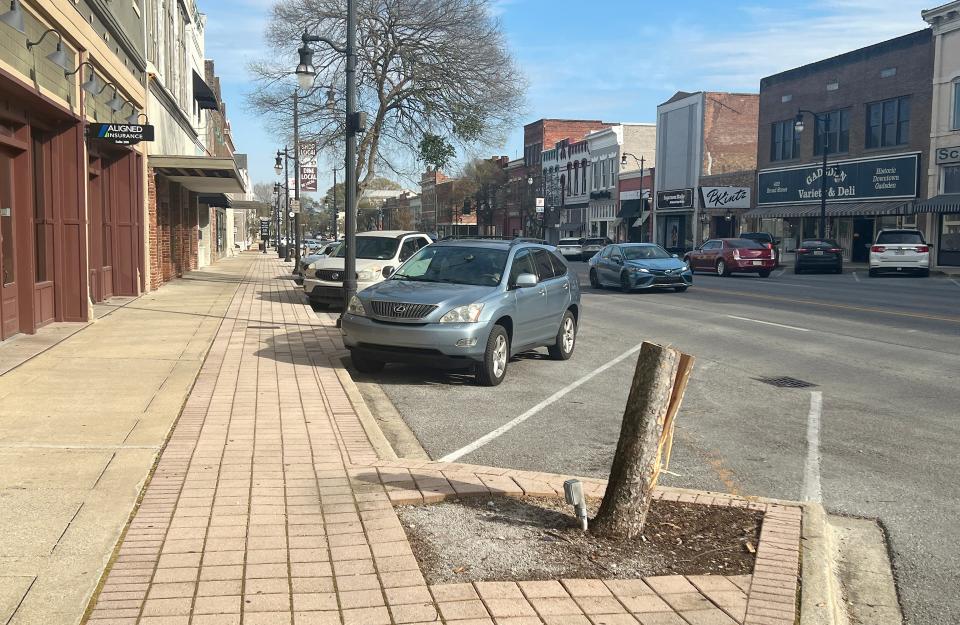 The stump of a tree that was cut down in the 400 block of Broad Street is pictured. About a fourth of the more than 80 trees on Gadsden's main downtown thoroughfare must be removed because they're at risk; one recently fell spontaneously in this block.