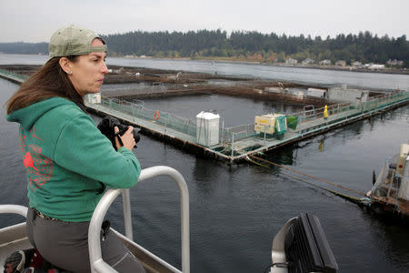 Amy Gulick of Whidbey Island, Washington takes photos during a protest near a an open-water net pen during a flotilla against the expansion and renewal of Atlantic salmon net pens in Washington state at Rich Passage off Bainbridge Island, Washington, U.S. September 16, 2017. REUTERS/Jason Redmond