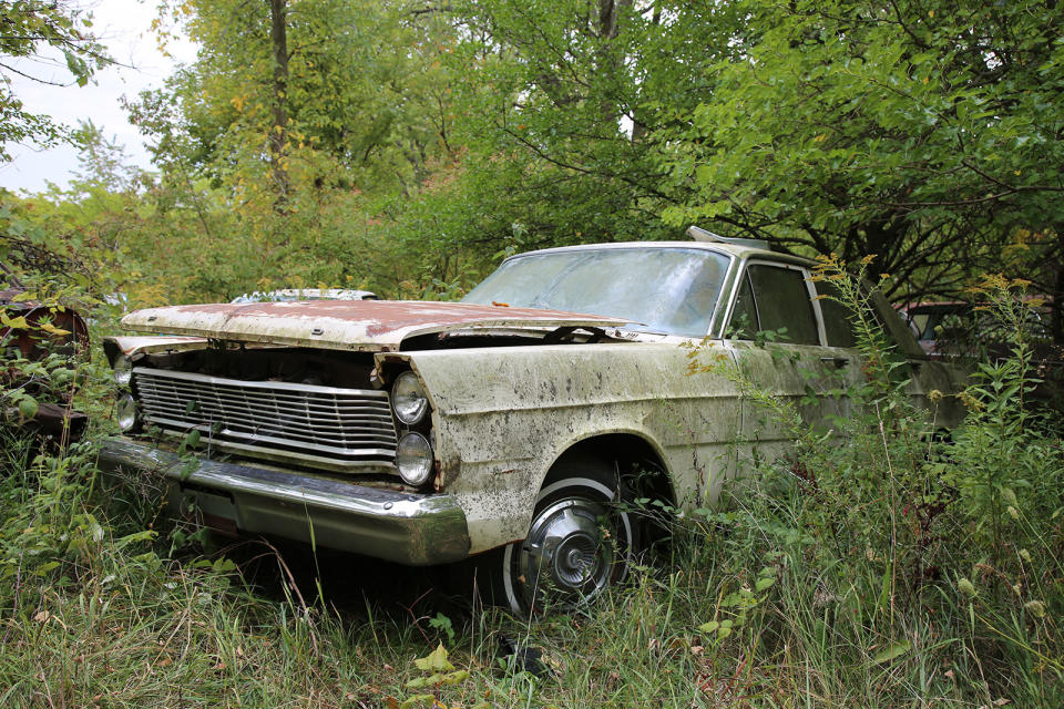 <p>Wouldn’t it be great to know the back story to some of these cars? How long were they on the road, where did they travel, how many owners did they have, and why did they end up in this place? Imagine the original owner of this 1965 Ford, if alive, discovering it still exists <strong>six decades later.</strong></p>