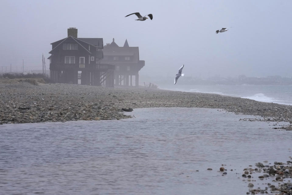 Seagulls fly near houses resting on pylons elevated above the beach, Thursday, Jan. 25, 2024, in South Kingstown, R.I. Experts say erosion and receding shorelines are becoming more common due to ocean rise and climate change. (AP Photo/Steven Senne)