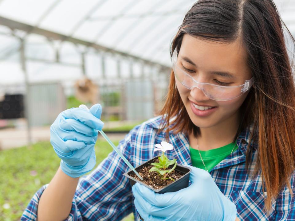 soil and plant scientist