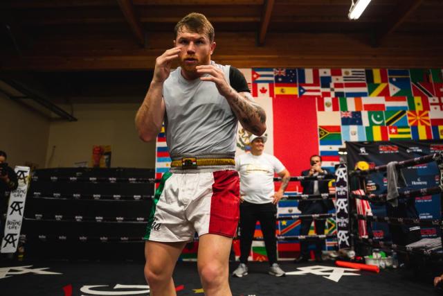 Saul 'Canelo' Alvarez - latest news, breaking stories and comment - The  Independent