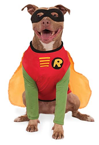 get your paws on these adorable petfriendly halloween costumes