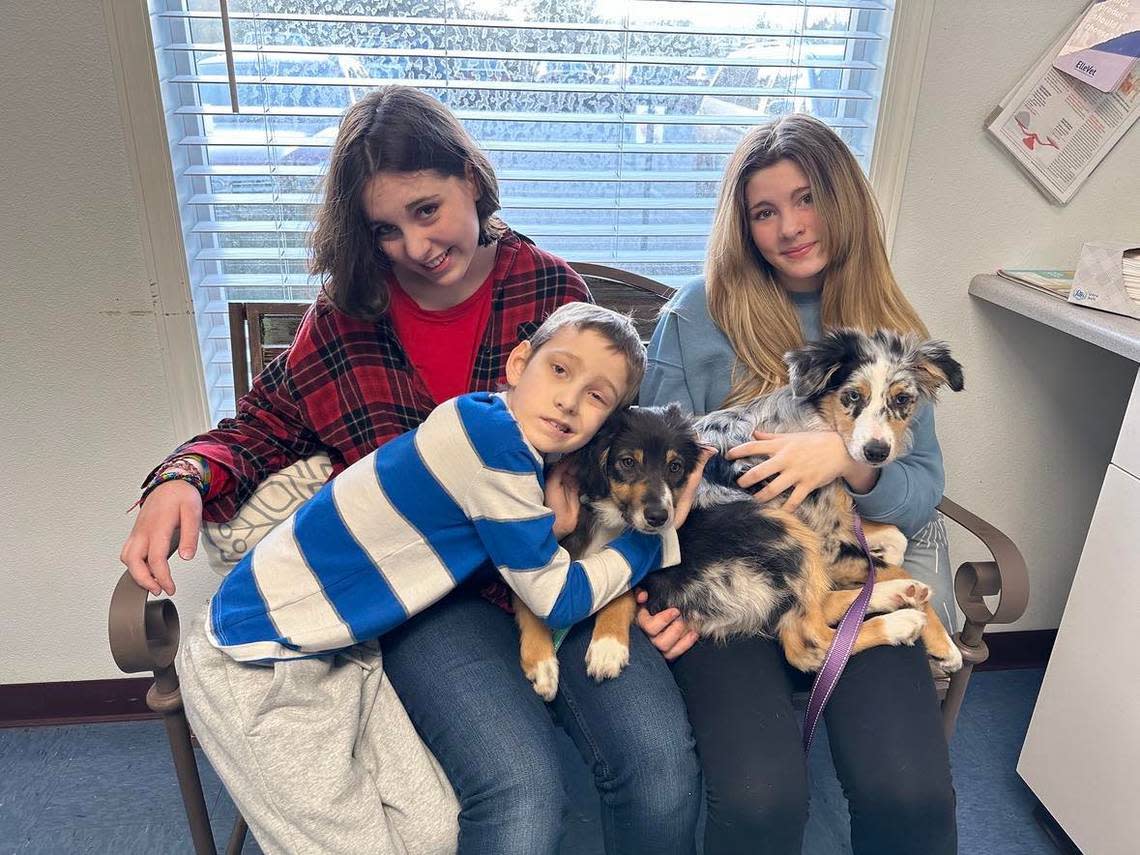 The VanderDoes children, Aleah, Kaylee and Brayden, hold their four-month-old Australian Sheppard puppies, Nala and Hope.