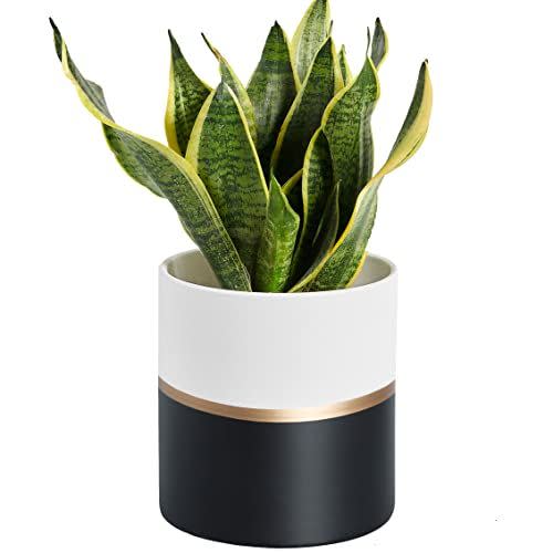 1) Modern Ceramic Flower Pot