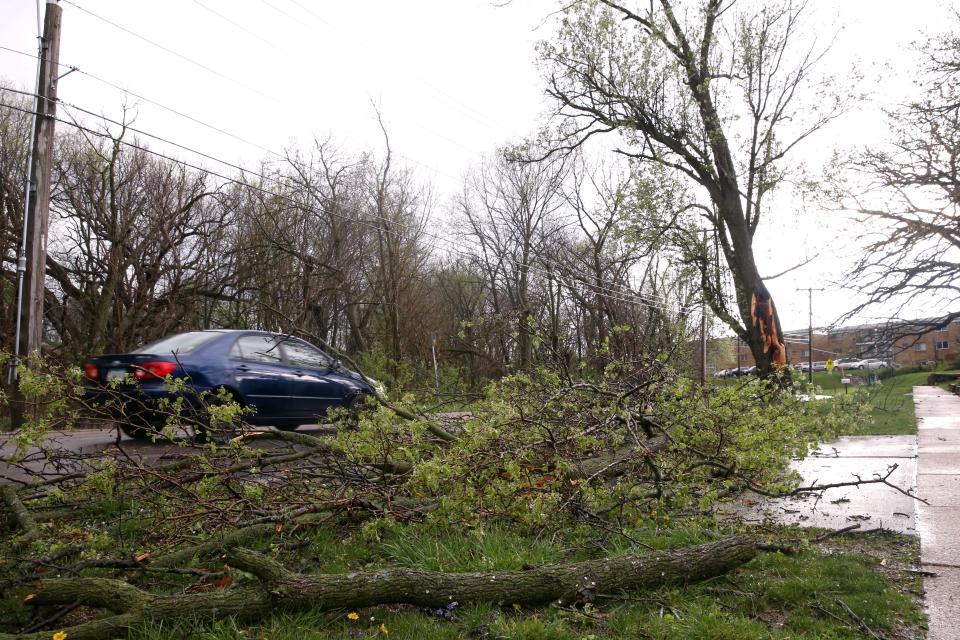 A car drives on Greenwood Drive past a downed tree limb Tuesday, April 16, 2024 in Iowa City, Iowa.