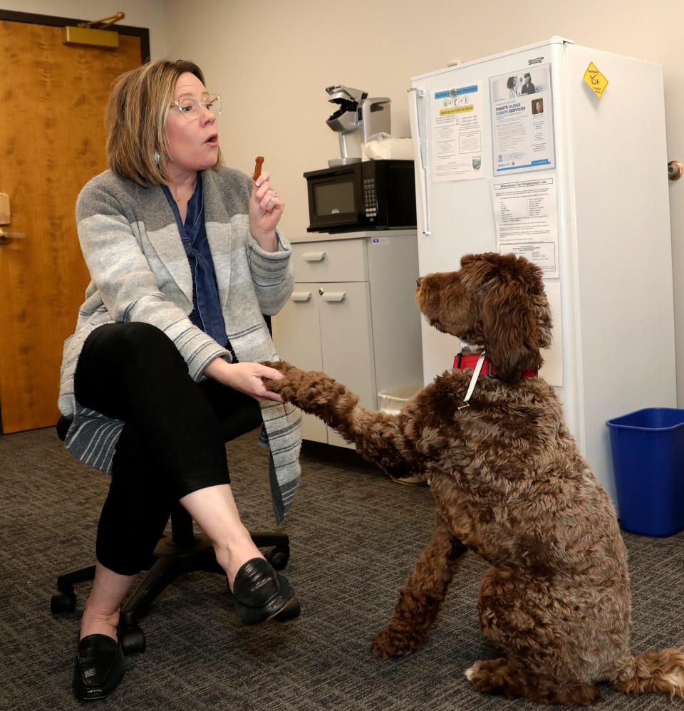 De Pere health director Chrystal Woller gets a little one-on-one time with Stanley during his visit to De Pere City Hall. He knows she often has a dog treat in her pocket for him.