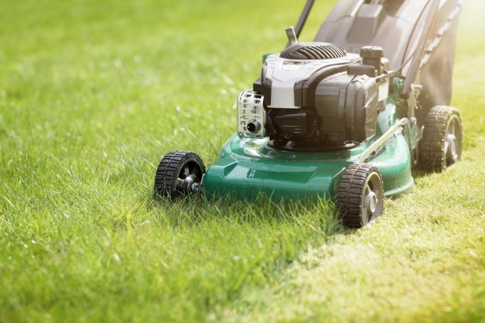 Green lawn mower mowing grass