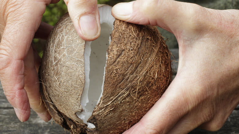 breaking open a coconut