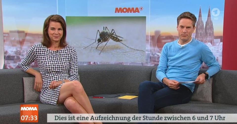 ARD-Zuschauer wunderten sich am Dienstagmorgen, als sie das "Morgenmagazin" einschalteten. "Dies ist eine Aufzeichnung" las man dort, wo man sonst eine Live-Sendung gewohnt war. Schuld daran war ein Streik.