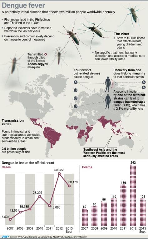 Graphic fact file on dengue fever, including a focus on cases and deaths in India
