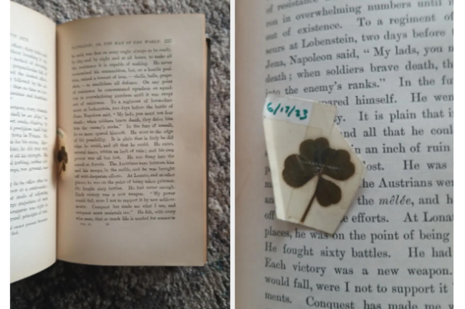 a four-leaf clover in a book