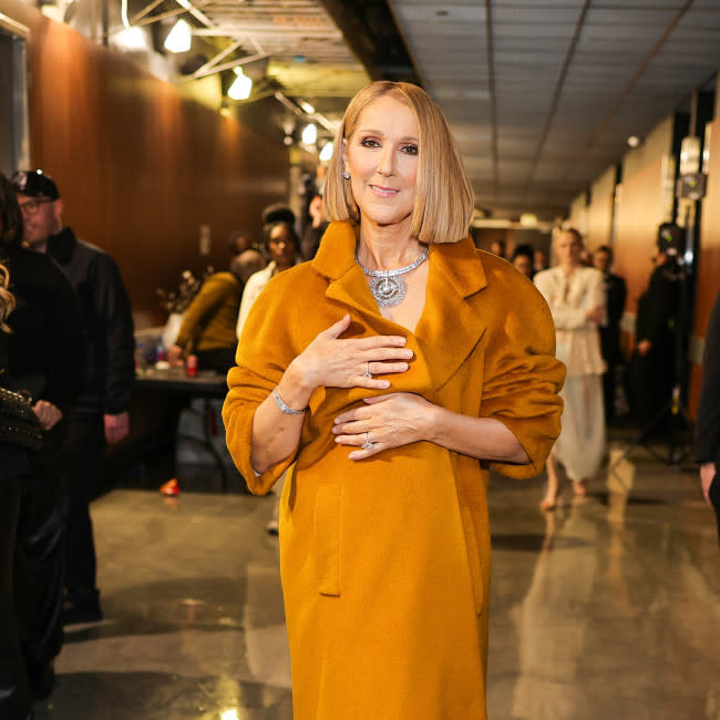 Céline Dion en la pasada ceremonia de los premios Grammy credit:Bang Showbiz