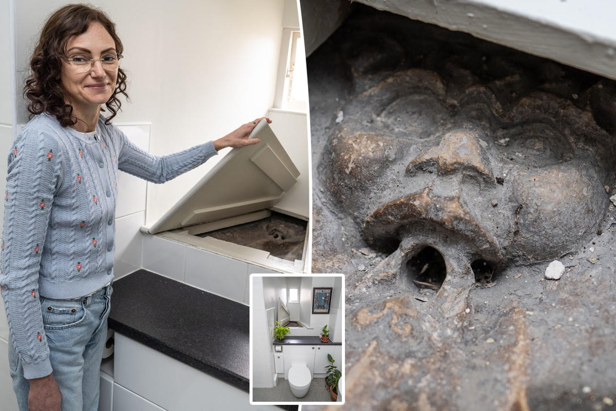 We made a freaky discovery while cleaning the toilet in our 700 - year - old home