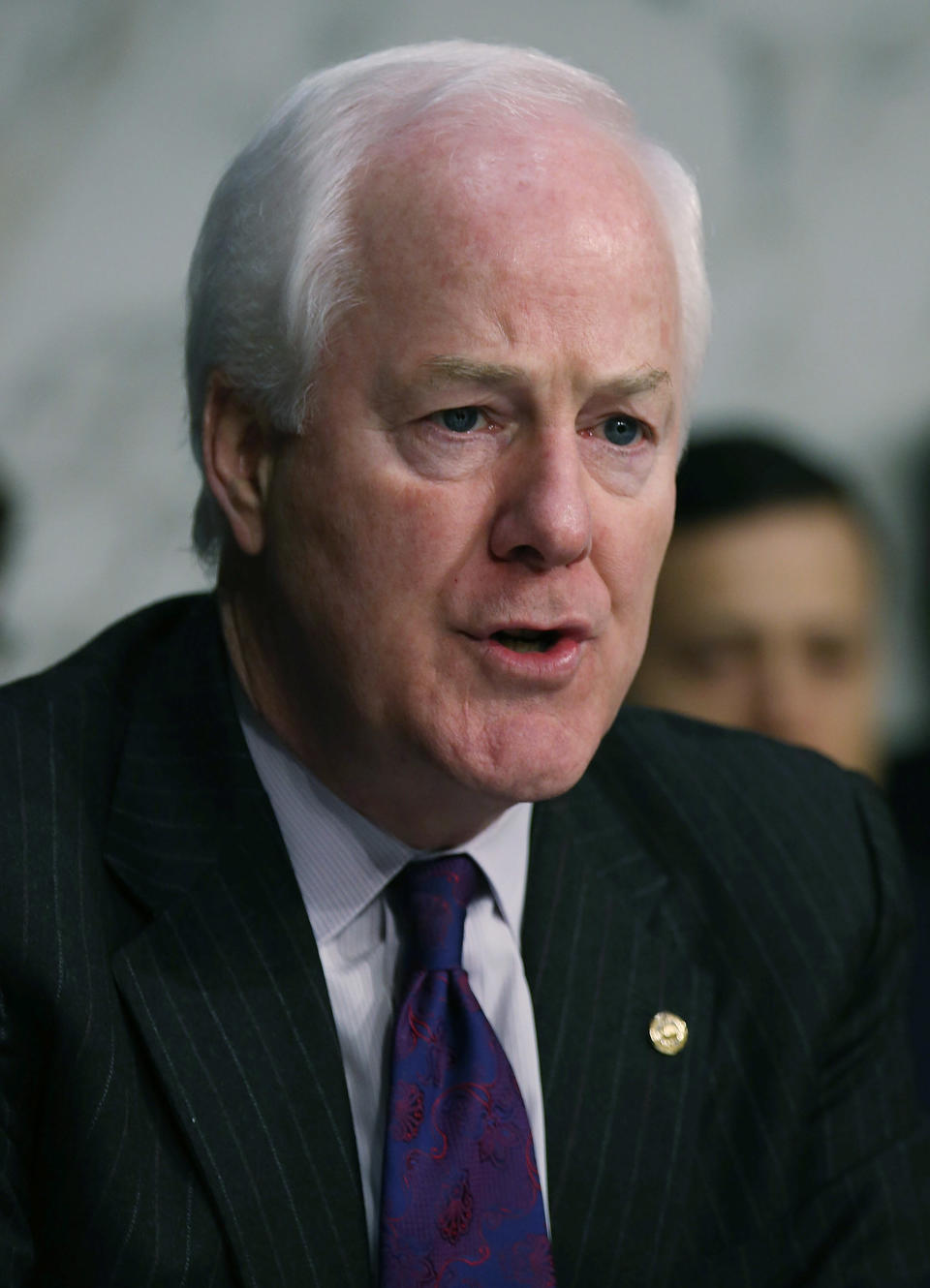 Sen. John Cornyn (R-Texas) speaks during a Senate Judiciary Committee hearing on April 22, 2013 in Washington, D.C.  (Photo by Mark Wilson/Getty Images)