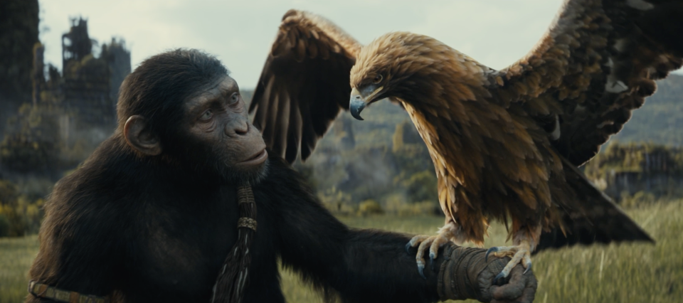 Kingdom of the Planet of the Apes jumps the franchise several hundred years ahead of the Andy Serkis prequels, but it's still not close to the events of the 1968 original. (20th Century Studios)