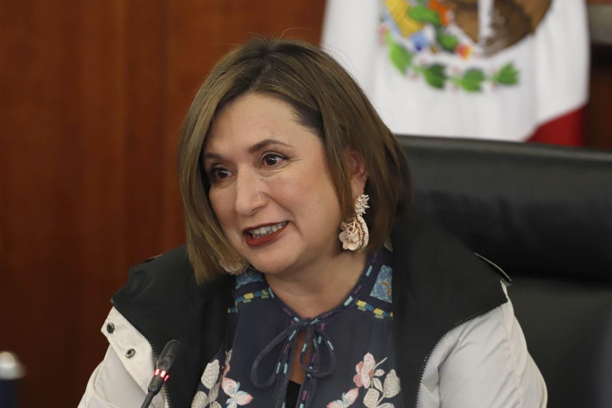 Xóchitl Gálvez recibió carta de la UNAM tras presunto plagio – Contraste,  Política y Sociedad