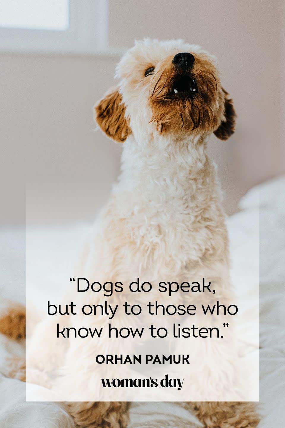 <p>“Dogs do speak, but only to those who know how to listen.”</p>