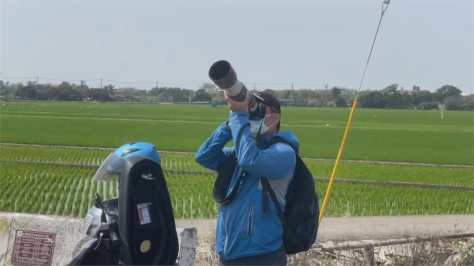 NASA兩架科研機來台！　「低空飛西南部上空」　航空迷搶拍