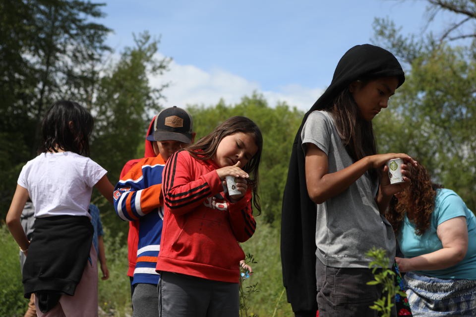 Students from Okanagan Indian Band’s Cultural Immersion School analyze the salmon fry in their cups before releasing them into the Salmon River in syilx Okanagan territory during a ceremonial release hosted by the Okanagan Nation Alliance on June 19, 2024. Photo by Aaron Hemens