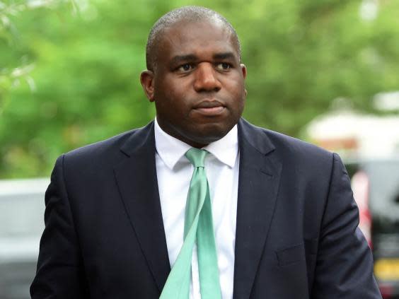 David Lammy, a leading supporter of the People’s Vote campaign (PA)