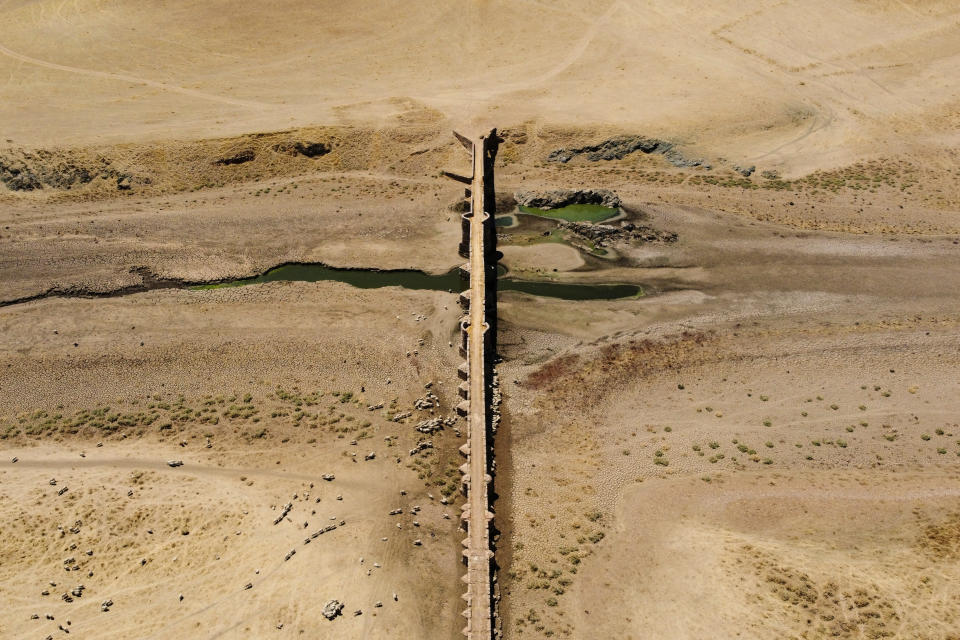 El puente sale a la luz