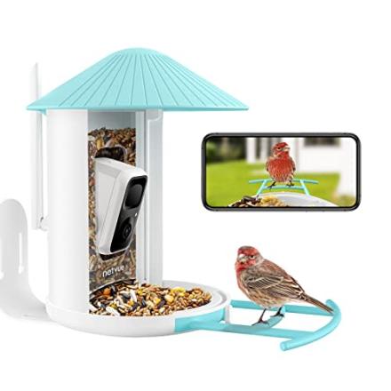 Net Health Shops Mosaic Fly-Through Bird Feeder, One Size, Red - Yahoo  Shopping