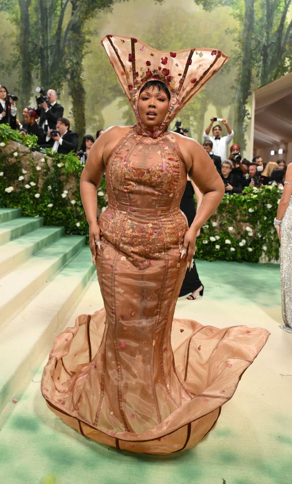Lizzo in Weinsanto (AFP via Getty Images)