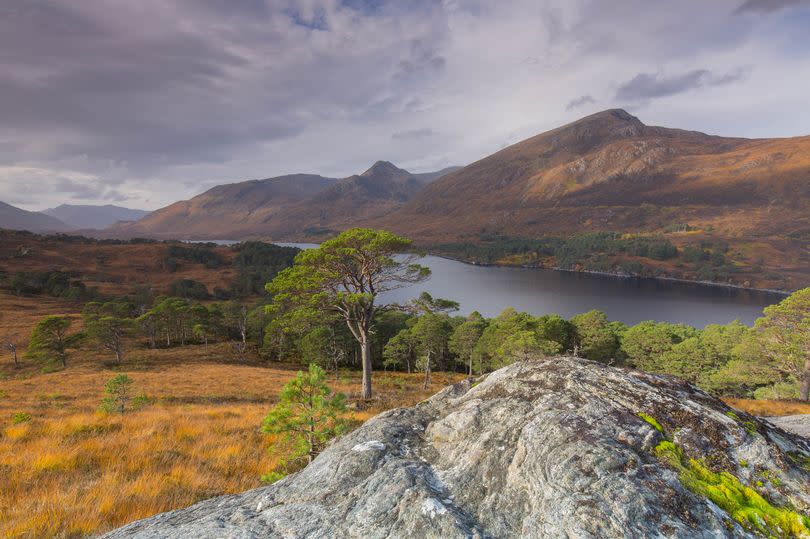 Looking over the Scots Pines and Loch Affric to the mountains of Glen Affric