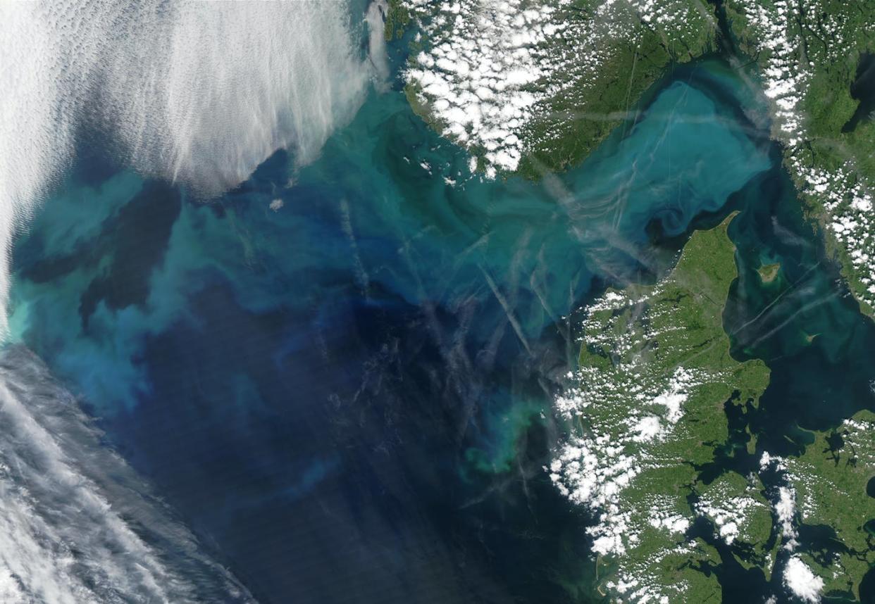 <span class="caption">Ocean carbon storage is driven by phytoplankton blooms, like the turquoise swirls visible here in the North Sea and waters off Denmark.</span> <span class="attribution"><a class="link " href="https://eoimages.gsfc.nasa.gov/images/imagerecords/66000/66959/Norway.A2003178.1210.250m.jpg" rel="nofollow noopener" target="_blank" data-ylk="slk:NASA;elm:context_link;itc:0;sec:content-canvas">NASA</a></span>