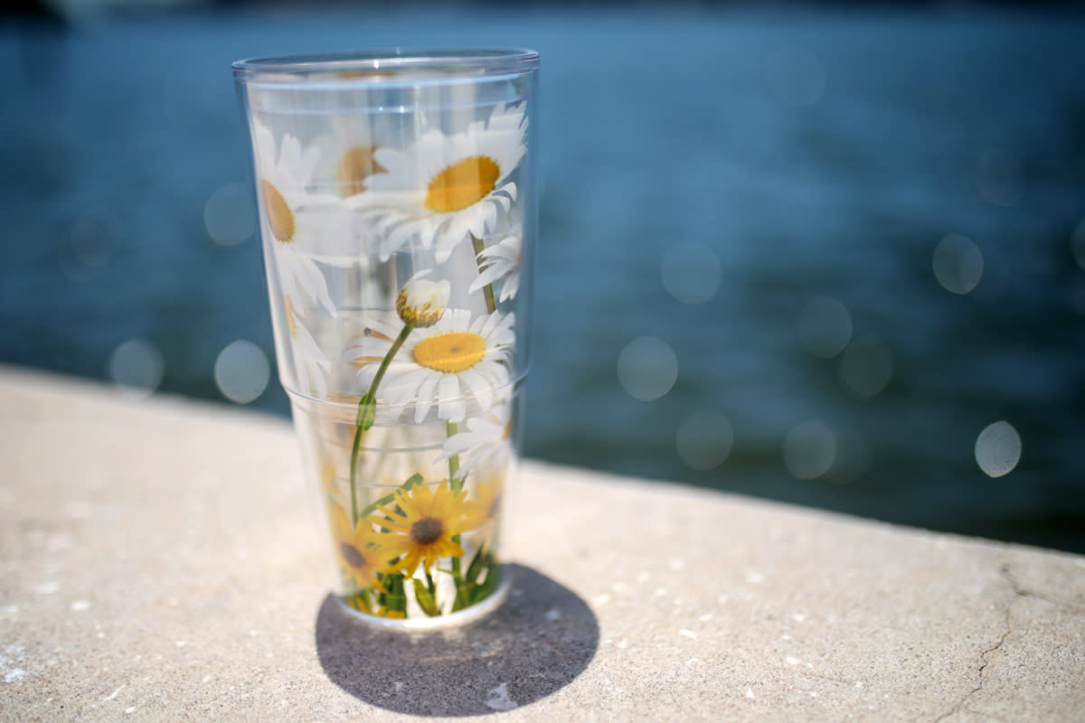 A tervis cup sits by the water.