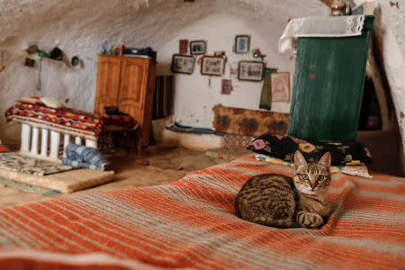 A cat sits inside a troglodyte house in Matmata, Tunisia, February 6, 2018. REUTERS/Zohra Bensemra