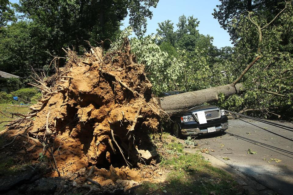 A downed tree damaged a truck after a powerful overnight derecho in the Washington, DC, region June 30, 2012, in Falls Church, Virginia. The storm left more than a million people in the greater Washington, DC, area without power.