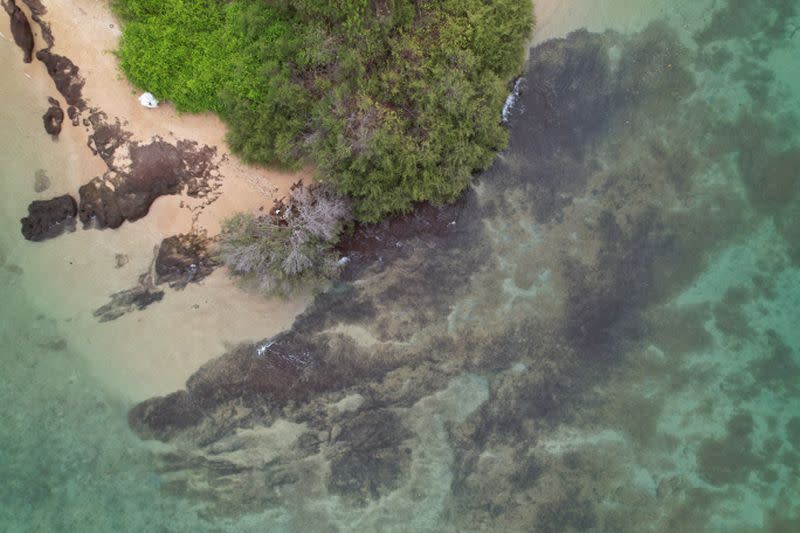 A drone view shows the reefs around Man Nai Island