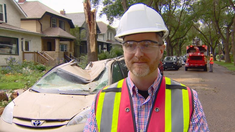 Cleanup underway after Friday storm topples trees across Edmonton