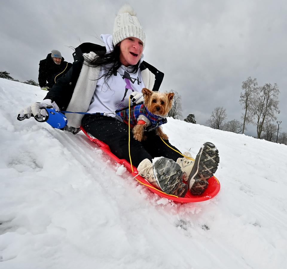 Bonnie Dulmaine sleds with her Yorkshire terrier, Oatmeal, at Green Hill Park in Worcester on Tuesday.