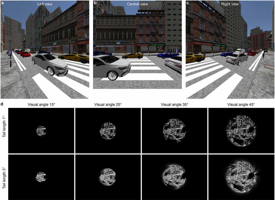 A digitally rendered street scene and distorted monochrome versions below showing various ways of representing it via virtual phosphors.
