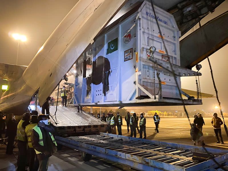 Workers gather as a crate carrying Kaavan, an elephant to be transported to a sanctuary in Cambodia, boards a plane at the Islamabad International Airport in Islamabad