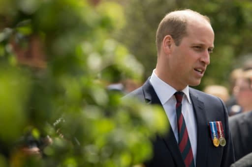 Britain's Prince William, Duke of Cambridge and second in line to the throne, will be the first member of the royal family to pay an official visit to both Israel and the Palestinian territories