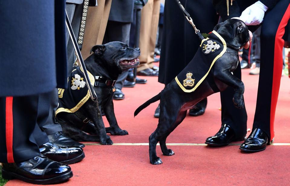 Photo credit: JEREMY SELWYN - Getty Images