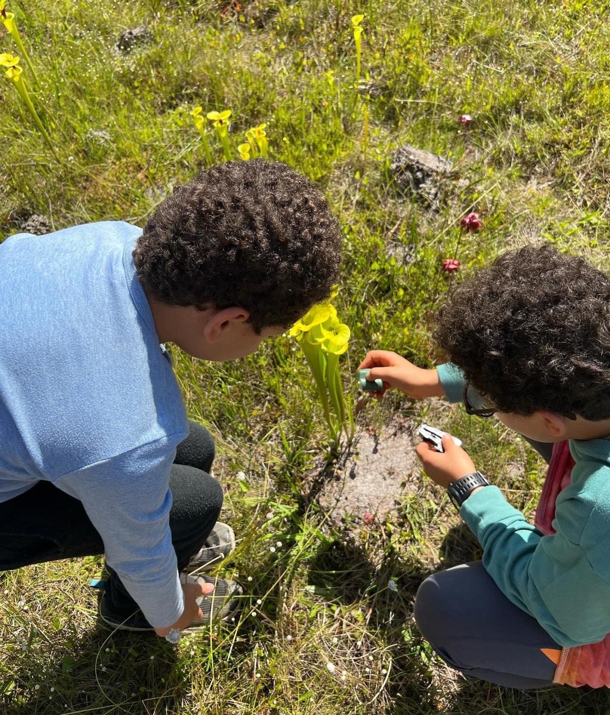 Boys exploring plants with a handheld microscope.