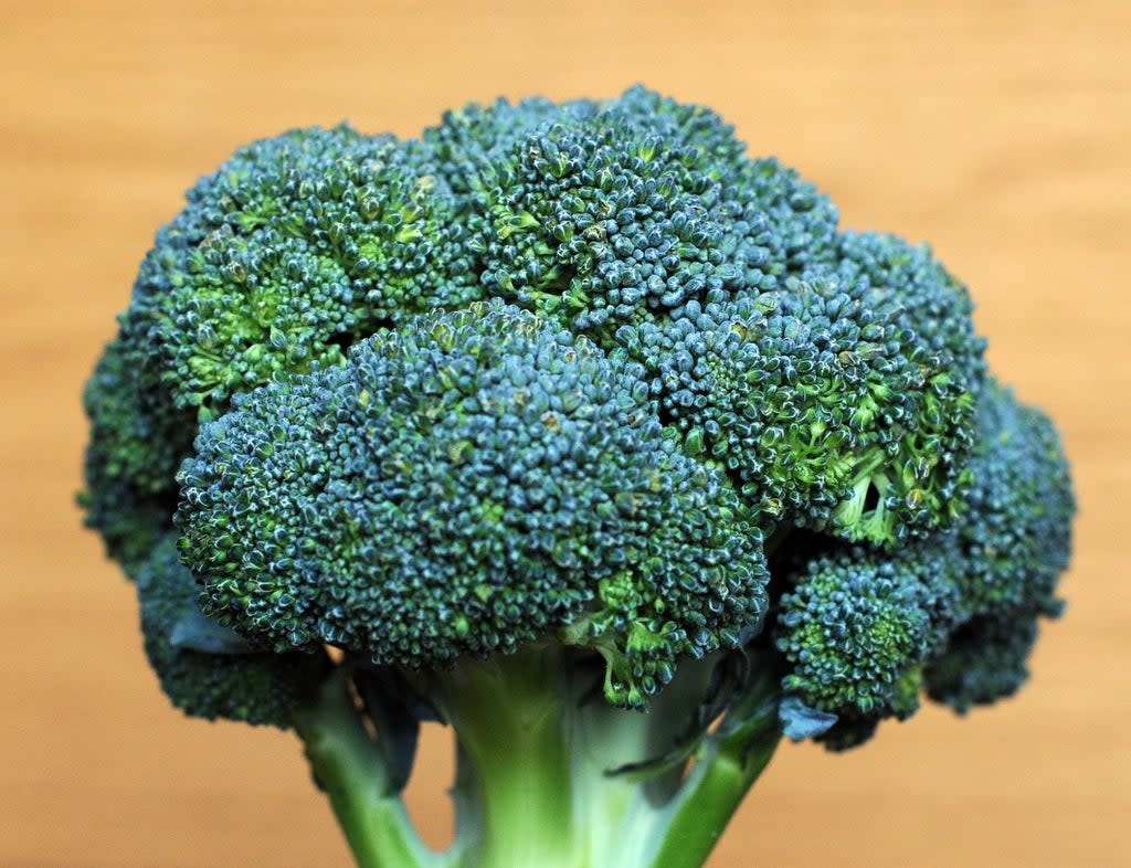 Researchers discover why children may dislike broccoli (Nick Ansell/PA) (PA Archive)