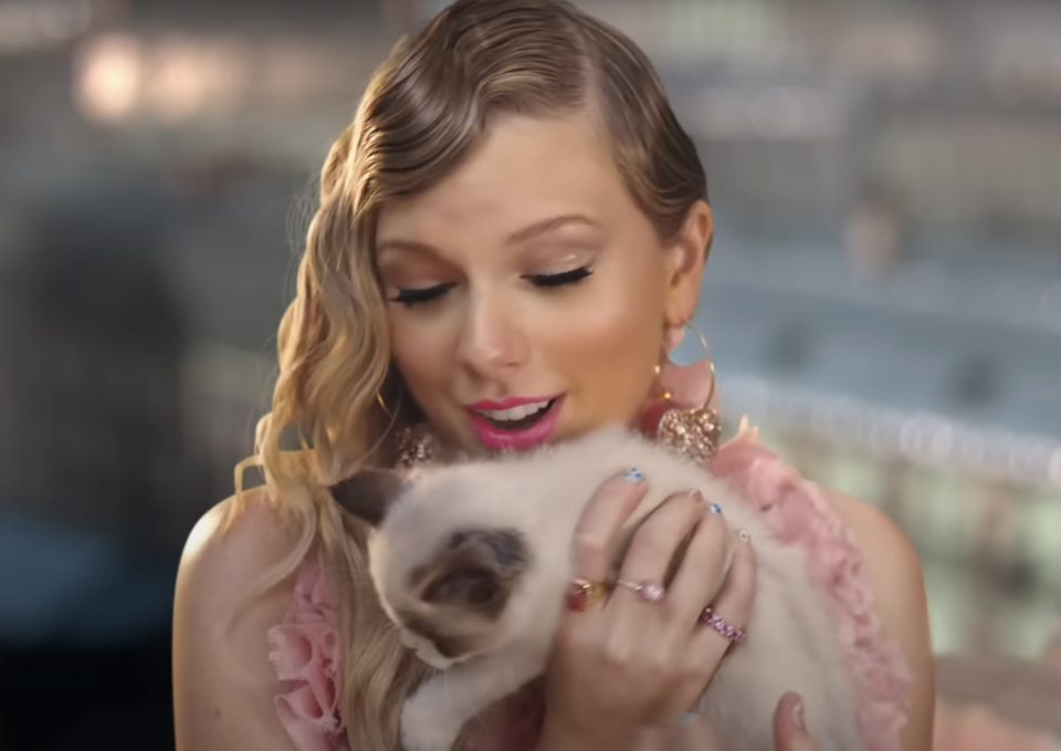 Taylor Swift holding a cat