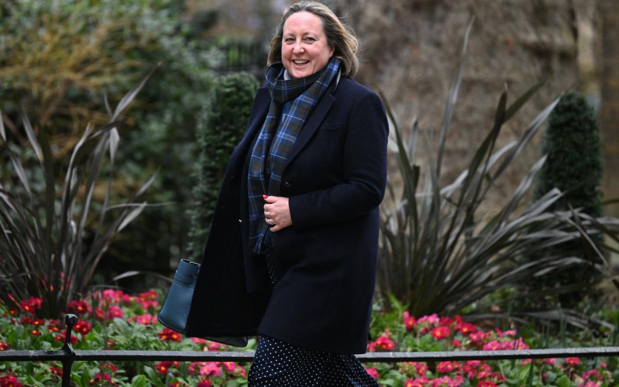 Anne-Marie Trevelyan said: 'Our trade with New Zealand will soar, benefiting businesses and consumers throughout the UK' - Leon Neal/Getty Images